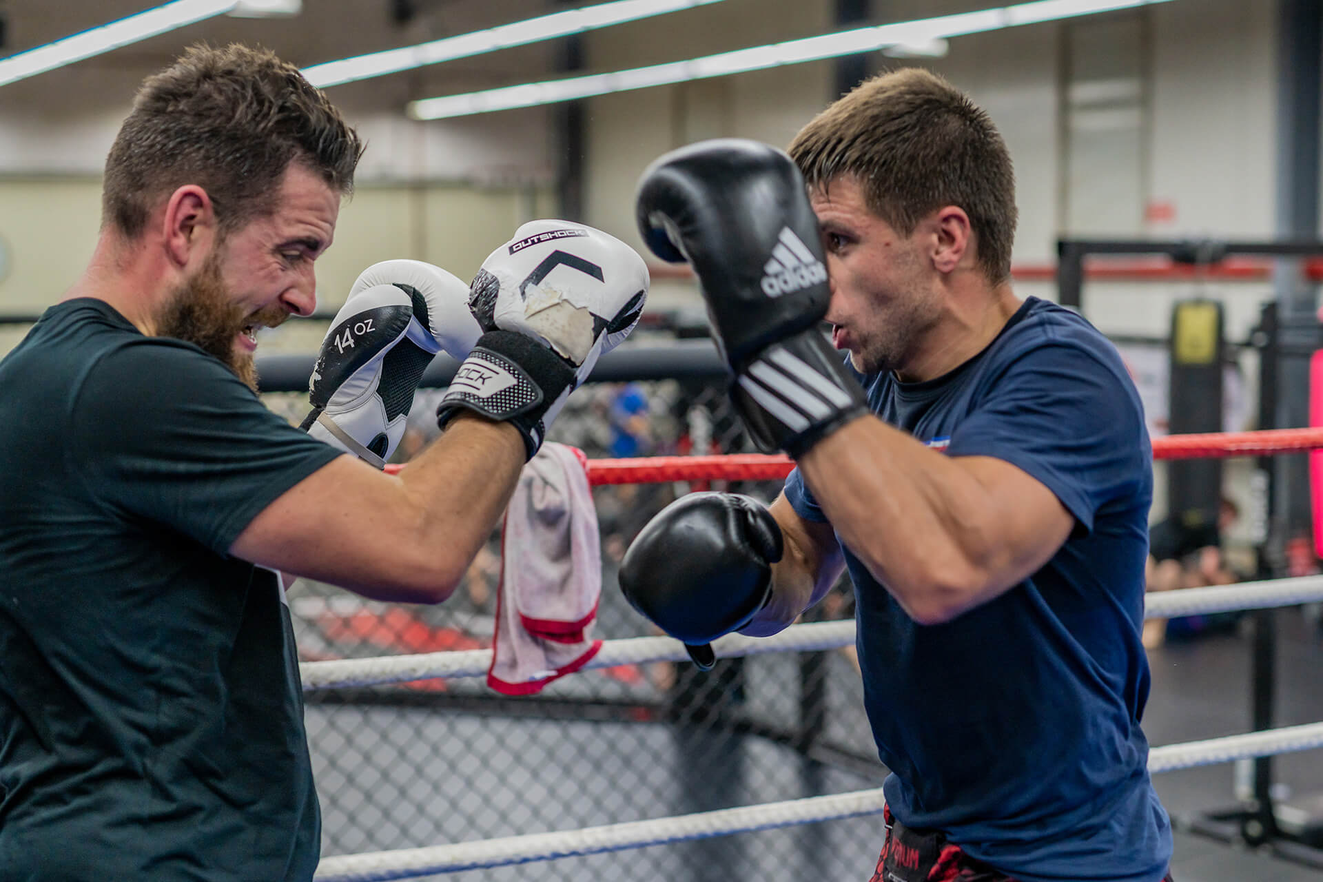 Boxe anglaise